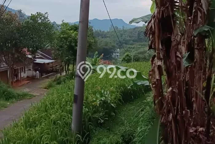 Kavling Tanah Dijual di Ciwidey Bandung Spesifikasi 2299m2 Kavling Tanah Dijual di Ciwidey Bandung Spesifikasi 2299m2