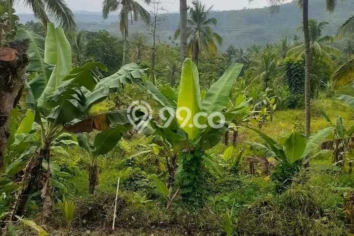 Kavling Tanah Dijual di Cipatat, Bandung Barat, Luas 50000m2 Area Strategis Kavling Tanah Dijual di Cipatat, Bandung Barat, Luas 50000m2 Area Strategis