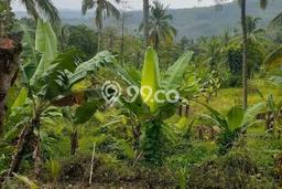 Kavling Tanah Dijual di Cipatat, Bandung Barat, Luas 50000m2 Area Strategis Kavling Tanah Dijual di Cipatat, Bandung Barat, Luas 50000m2 Area Strategis