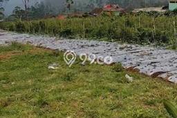 Tanah di Pangalengan, Bandung Luas 30000m2 Dijual Segera Tanah di Pangalengan, Bandung Luas 30000m2 Dijual Segera