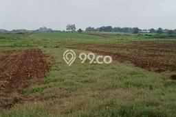 Tanah Kavling untuk Dijual di Subang Subang 2.25e+06m2 Tanah Kavling untuk Dijual di Subang Subang 2.25e+06m2