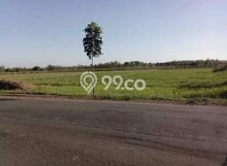 Tanah untuk Dijual Lokasi Ujung Jaya, Sumedang Luas 2595m2 SHM Tanah untuk Dijual Lokasi Ujung Jaya, Sumedang Luas 2595m2 SHM