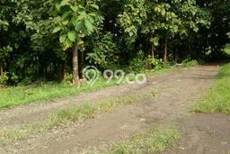Lahan Investasi Lokasi Ujung Jaya Sumedang SHM Lahan Investasi Lokasi Ujung Jaya Sumedang SHM