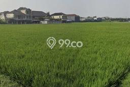 Kavling Tanah di Rancasari Dijual Luas 2700m2 Legalitas - Kavling Tanah di Rancasari Dijual Luas 2700m2 Legalitas -