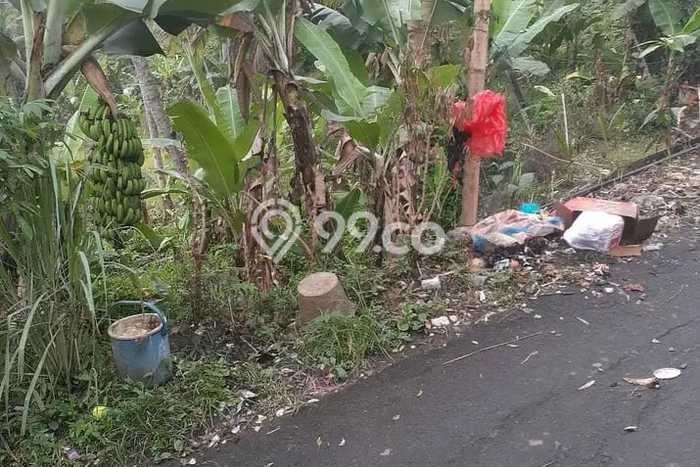 Kavling Tanah Dijual di Cipatat, Bandung Barat, Luas 50000m2 Area Strategis Kavling Tanah Dijual di Cipatat, Bandung Barat, Luas 50000m2 Area Strategis