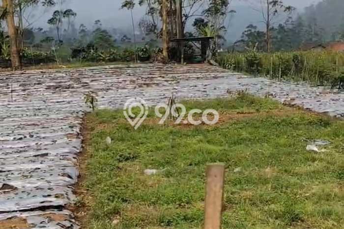 Tanah di Pangalengan, Bandung Luas 30000m2 Dijual Segera Tanah di Pangalengan, Bandung Luas 30000m2 Dijual Segera