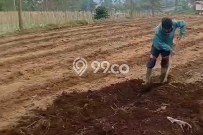 Tanah Kavling di Pangalengan Dijual dengan Luas 1380m2 Tanah Kavling di Pangalengan Dijual dengan Luas 1380m2