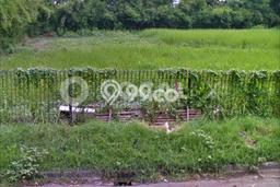 Kavling Tanah untuk Dijual di Kalideres, Jakarta Barat, Luas 1600m2 Kavling Tanah untuk Dijual di Kalideres, Jakarta Barat, Luas 1600m2