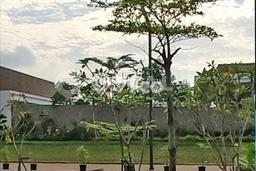 Lahan Dijual Lokasi Strategis di Jakarta Barat dengan Luas 146m2 Lahan Dijual Lokasi Strategis di Jakarta Barat dengan Luas 146m2