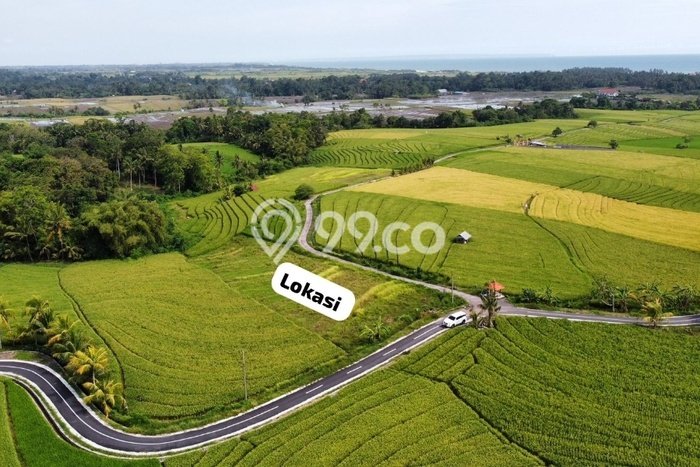 Lahan Strategis di Tabanan Dijual dengan Luas 2230m2 Lahan Strategis di Tabanan Dijual dengan Luas 2230m2