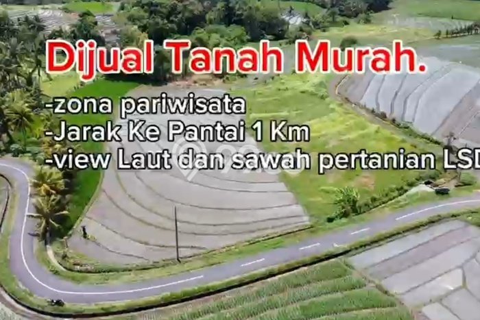 Lahan Strategis di Tabanan Dijual dengan Luas 2230m2 Lahan Strategis di Tabanan Dijual dengan Luas 2230m2