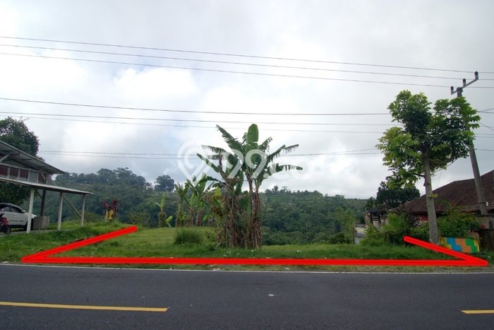 Tanah Dijual Lokasi Baturiti Tabanan SHM Tanah Dijual Lokasi Baturiti Tabanan SHM