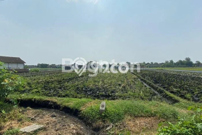 Dijual Tanah di Tasikmadu Karanganyar Luas 3293m2 SHM Dijual Tanah di Tasikmadu Karanganyar Luas 3293m2 SHM