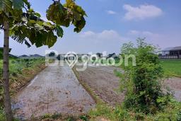 Tanah Kosong Dijual di Klaten dengan Area 39695m2 Tanah Kosong Dijual di Klaten dengan Area 39695m2