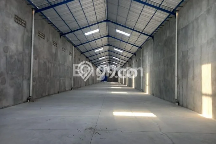 Gudang Bagus Dijual di Kartosuro Sukoharjo Lokasi Strategis Cocok untuk Kembangkan Bisnis Gudang Bagus Dijual di Kartosuro Sukoharjo Lokasi Strategis Cocok untuk Kembangkan Bisnis