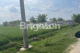 Untuk Dijual Tanah di Baki Sukoharjo Luas 12000m2 SHM Untuk Dijual Tanah di Baki Sukoharjo Luas 12000m2 SHM