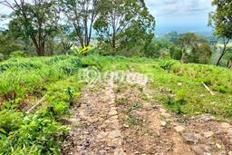 Lahan untuk Dijual Lokasi Karangpandan, Karanganyar Luas 72000m2 SHM Lahan untuk Dijual Lokasi Karangpandan, Karanganyar Luas 72000m2 SHM