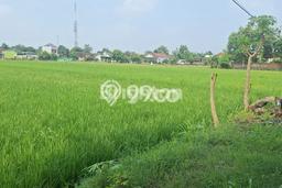 Lahan Strategis di Sukoharjo Dijual dengan Luas 7000m2 Lahan Strategis di Sukoharjo Dijual dengan Luas 7000m2