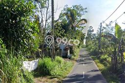 Tanah di Tegallalang, Gianyar Luas 2967m2 Dijual Segera Tanah di Tegallalang, Gianyar Luas 2967m2 Dijual Segera