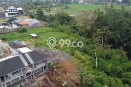 Tanah untuk Dijual Lokasi Gianyar, Gianyar Luas 4500m2 SHM Tanah untuk Dijual Lokasi Gianyar, Gianyar Luas 4500m2 SHM