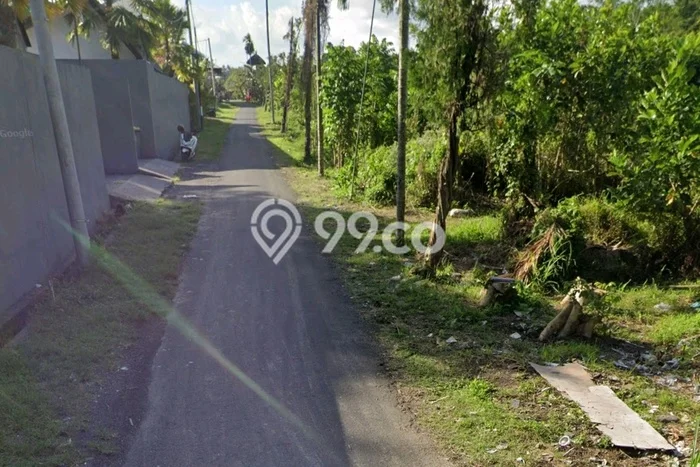 Tanah Investasi Disewakan di Ubud, Gianyar, Luas 26190m2 Tanah Investasi Disewakan di Ubud, Gianyar, Luas 26190m2
