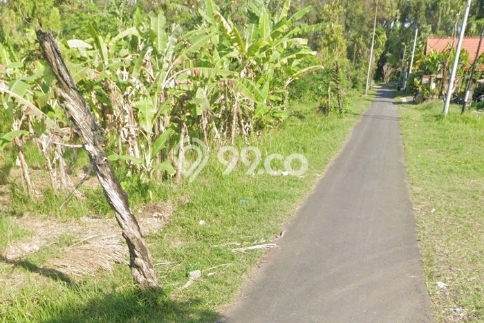Tanah Investasi Disewakan di Ubud, Gianyar, Luas 26190m2 Tanah Investasi Disewakan di Ubud, Gianyar, Luas 26190m2
