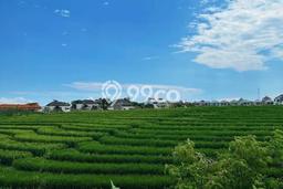 Tanah Dijual Area Strategis di Canggu Badung 130m2 Tanah Dijual Area Strategis di Canggu Badung 130m2