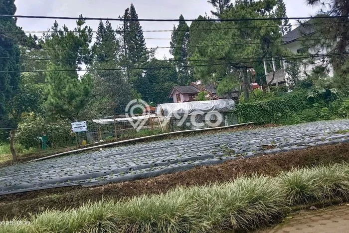 Tanah Dijual Lokasi Parongpong, Bandung Barat Luas 461m2 Legalitas Aman Tanah Dijual Lokasi Parongpong, Bandung Barat Luas 461m2 Legalitas Aman