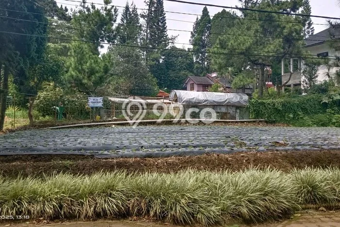 Tanah Dijual Lokasi Parongpong, Bandung Barat Luas 461m2 Legalitas Aman Tanah Dijual Lokasi Parongpong, Bandung Barat Luas 461m2 Legalitas Aman