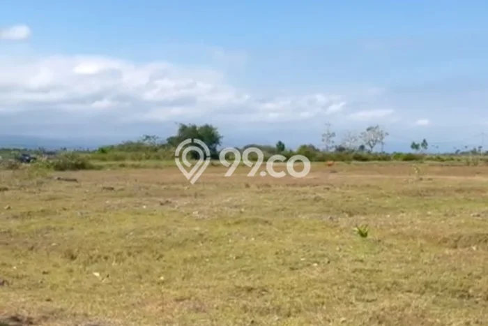 Tanah Area Potensial Kawasan Negara, Luas 1000m², Kawasan Asri, Akses Negara, Jembrana, Jembrana Tanah Area Potensial Kawasan Negara, Luas 1000m², Kawasan Asri, Akses Negara, Jembrana, Jembrana