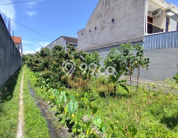 Tanah Komersial Dijual di Kasihan Bantul 1243m2 Tanah Komersial Dijual di Kasihan Bantul 1243m2