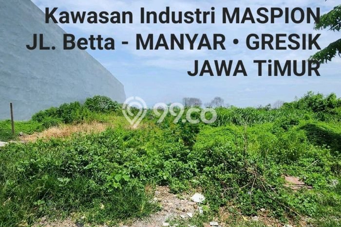 Tanah Area Potensial di Manyar, Luas 2000m2m², Ideal untuk Bisnis Tanah Area Potensial di Manyar, Luas 2000m2m², Ideal untuk Bisnis