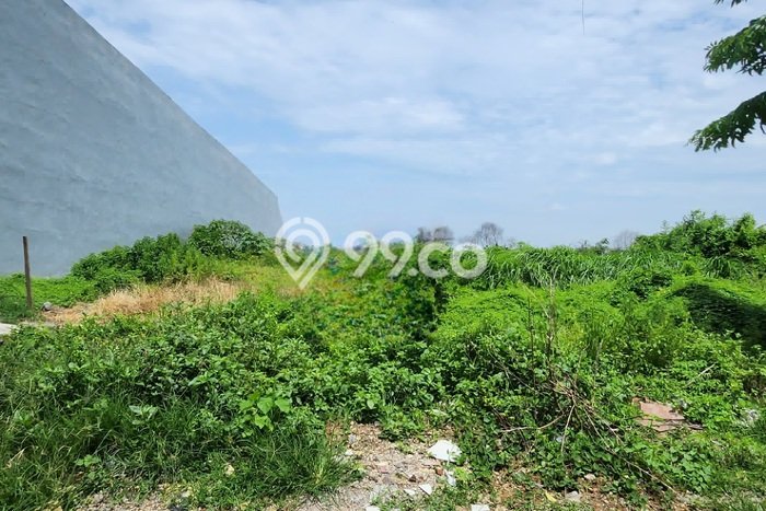 Tanah Area Potensial di Manyar, Luas 2000m2m², Ideal untuk Bisnis Tanah Area Potensial di Manyar, Luas 2000m2m², Ideal untuk Bisnis