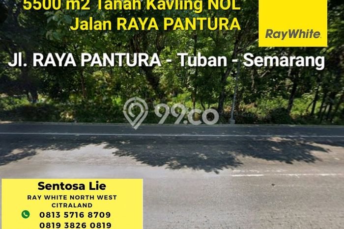 Jual Tanah Lokasi Strategis di Bancar, Luas 5500m2m², Dekat Bancar, Tuban, Tuban Jual Tanah Lokasi Strategis di Bancar, Luas 5500m2m², Dekat Bancar, Tuban, Tuban