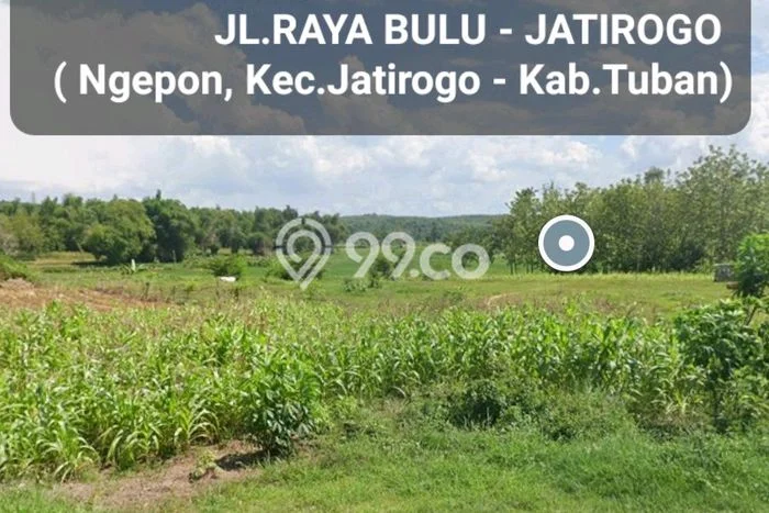LOKASI STRATEGIS! Tanah Kawasan Jatirogo, Luas 16338m2m², Tepi Jalan Raya LOKASI STRATEGIS! Tanah Kawasan Jatirogo, Luas 16338m2m², Tepi Jalan Raya