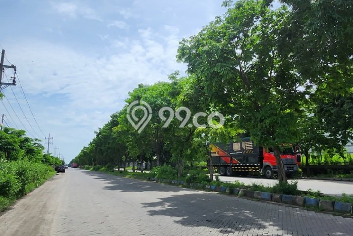 Tanah Area Potensial di Manyar, Luas 2000m2m², Ideal untuk Bisnis Tanah Area Potensial di Manyar, Luas 2000m2m², Ideal untuk Bisnis