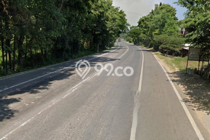 Jual Tanah Lokasi Strategis di Bancar, Luas 5500m2m², Dekat Bancar, Tuban, Tuban Jual Tanah Lokasi Strategis di Bancar, Luas 5500m2m², Dekat Bancar, Tuban, Tuban