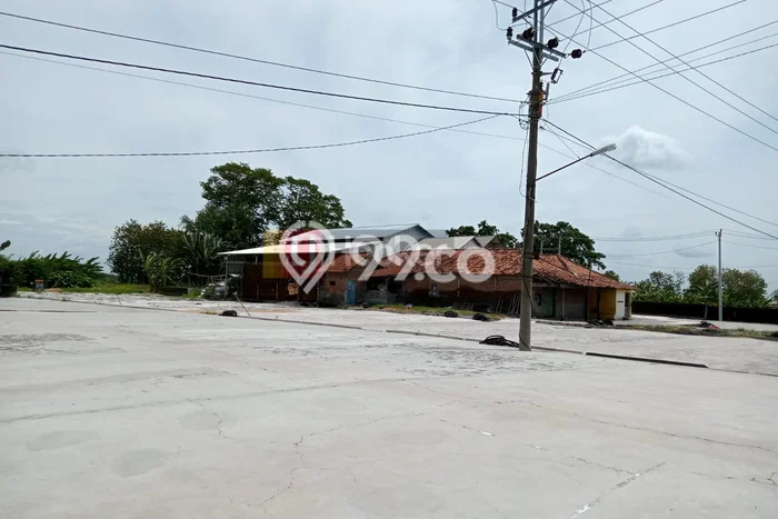 Gudang Dijual Lokasi Emas di Dempet Luas 700m2 Gudang Dijual Lokasi Emas di Dempet Luas 700m2