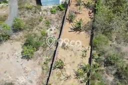 Kavling Tanah untuk Dijual di Ungasan, Badung, Luas 965m2 Kavling Tanah untuk Dijual di Ungasan, Badung, Luas 965m2