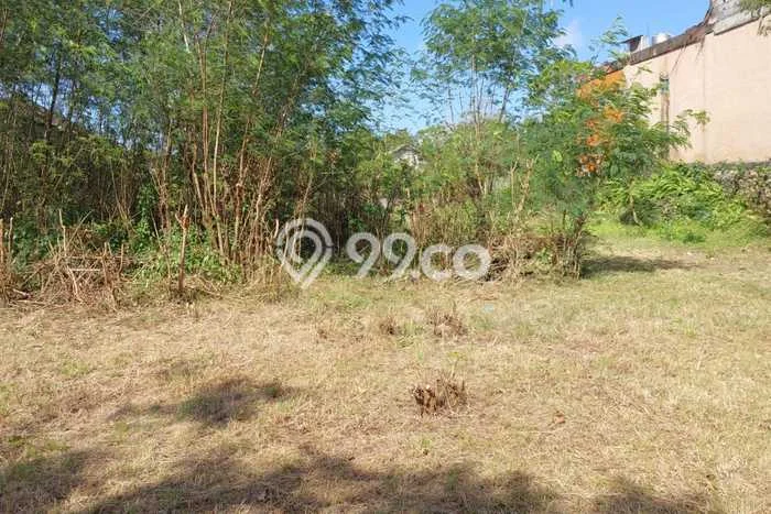 Kavling Tanah untuk Disewa di Kutuh Lahan Luas 1900m2 Kavling Tanah untuk Disewa di Kutuh Lahan Luas 1900m2