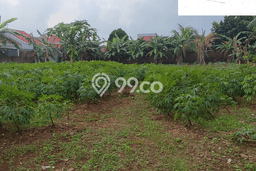 Tanah Kavling untuk Dijual di Tembalang Semarang 1502m2 Tanah Kavling untuk Dijual di Tembalang Semarang 1502m2