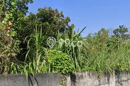 Tanah Kavling untuk Dijual di Gayamsari Semarang 68882m2 Tanah Kavling untuk Dijual di Gayamsari Semarang 68882m2