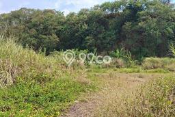 Tanah Dijual Lokasi Ngaliyan, Semarang Luas 2693m2 Legalitas Aman Tanah Dijual Lokasi Ngaliyan, Semarang Luas 2693m2 Legalitas Aman