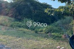 Kavling Tanah Dijual di Ngaliyan, Semarang, Luas 1365m2 Area Strategis Kavling Tanah Dijual di Ngaliyan, Semarang, Luas 1365m2 Area Strategis