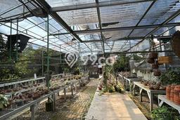 Kavling Tanah Dijual di Semarang Timur Semarang Spesifikasi 572m2 Kavling Tanah Dijual di Semarang Timur Semarang Spesifikasi 572m2