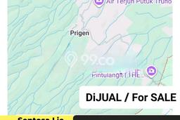 Jarang Ada! Tanah di Prigen Punya Luas 20000m2 SHM Jarang Ada! Tanah di Prigen Punya Luas 20000m2 SHM