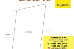 Dijual Tanah di Jembrana, Luas 14000m2 SHM Dijual Tanah di Jembrana, Luas 14000m2 SHM