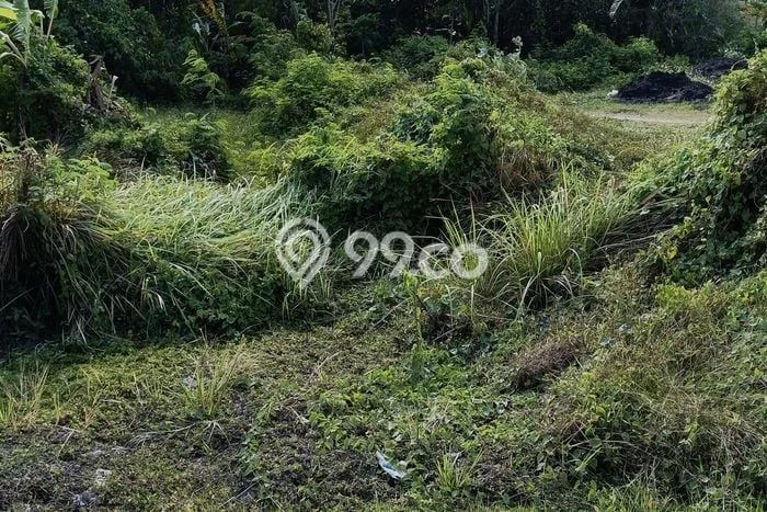 Kavling Tanah untuk Dijual di Jombang Kota, Jombang, Luas 471m2 Kavling Tanah untuk Dijual di Jombang Kota, Jombang, Luas 471m2