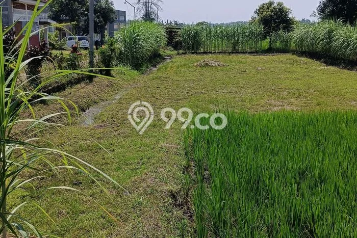 Lahan Kosong Dijual di Jombang dengan Area 718m2 Lahan Kosong Dijual di Jombang dengan Area 718m2