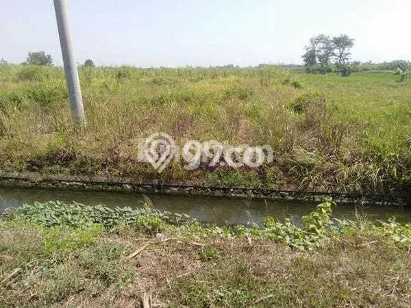 Tanah Dijual Lokasi Jombang Jombang SHM Tanah Dijual Lokasi Jombang Jombang SHM